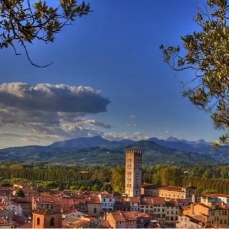 Il Glicine Di